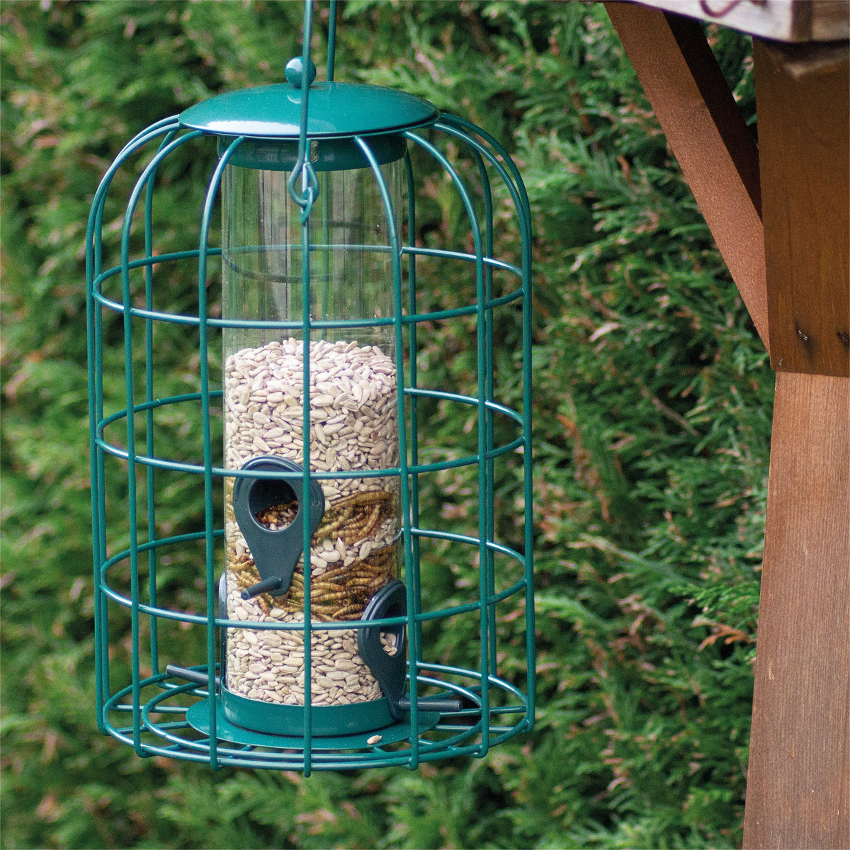 St Helens Home and Garden Squirrel Resistant Bird Feeder_Bird Feeders