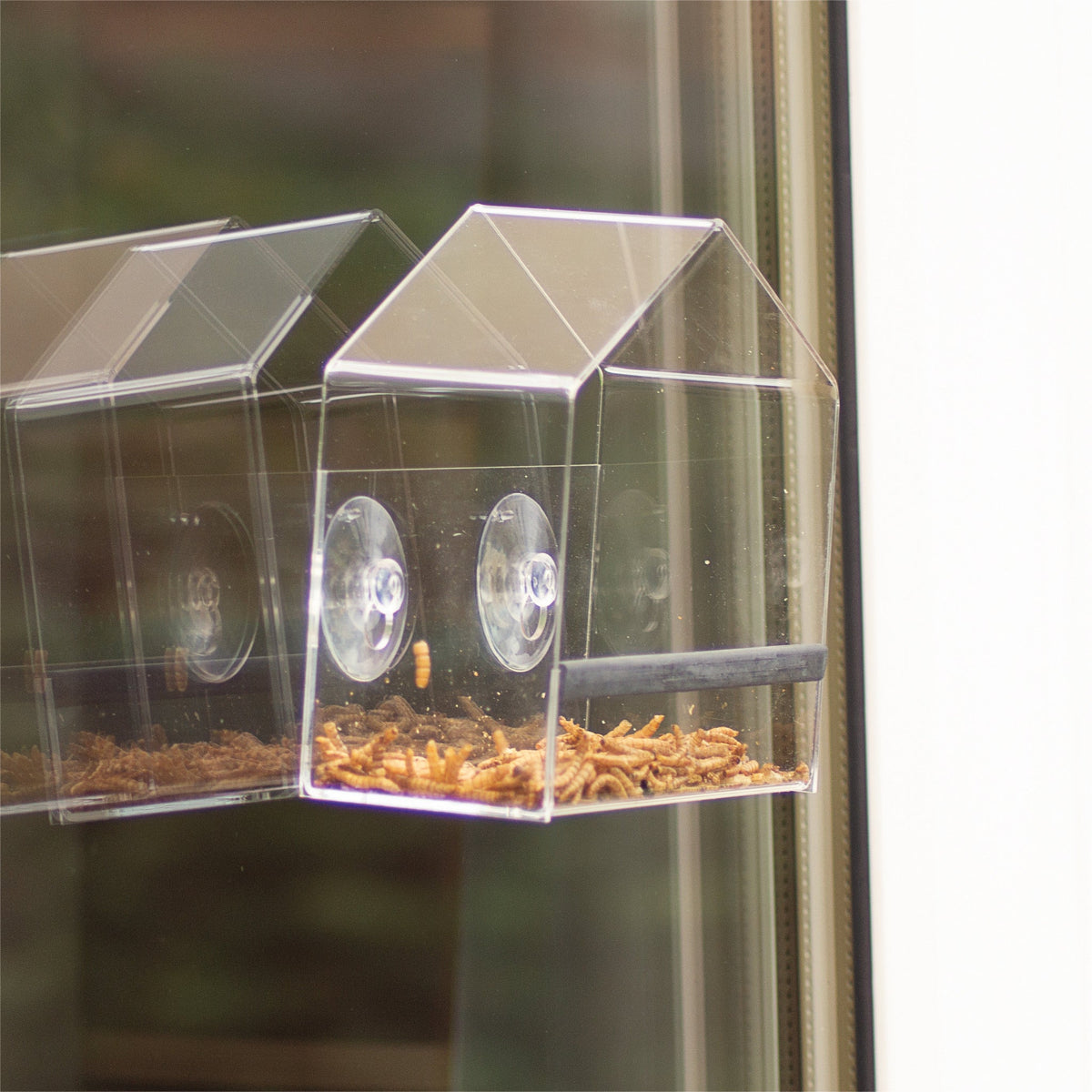 St Helens Home and Garden Transparent Bird Feeder_Bird Feeders
