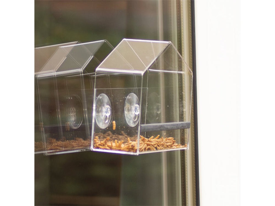 St Helens Home and Garden Transparent Bird Feeder_Bird Feeders