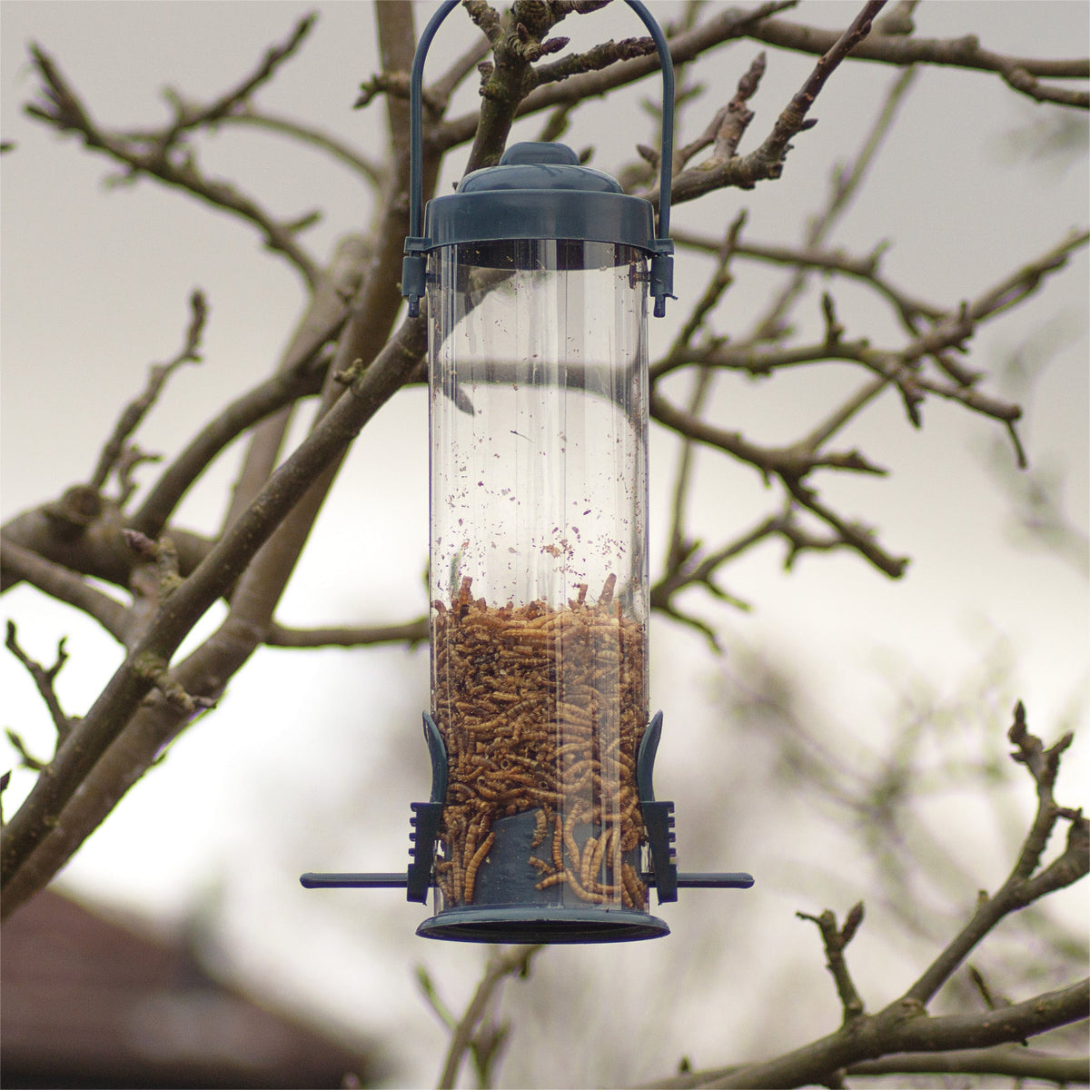 St Helens Home and Garden Hanging Bird Feeder_Bird Feeders