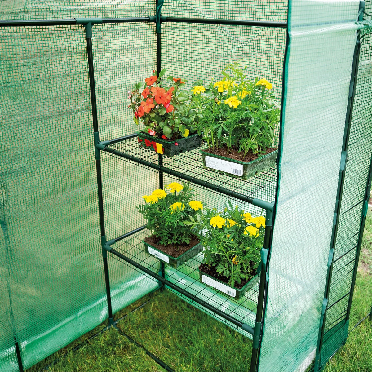 St Helens Home and Garden Walk-In Greenhouse_Grow Bags