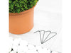St Helens Home and Garden Walk - In Greenhouse_Grow Bags