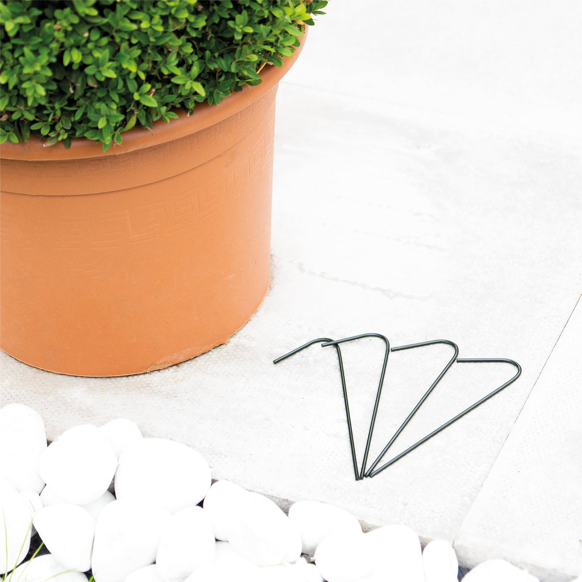 St Helens Home and Garden Walk-In Greenhouse_Grow Bags