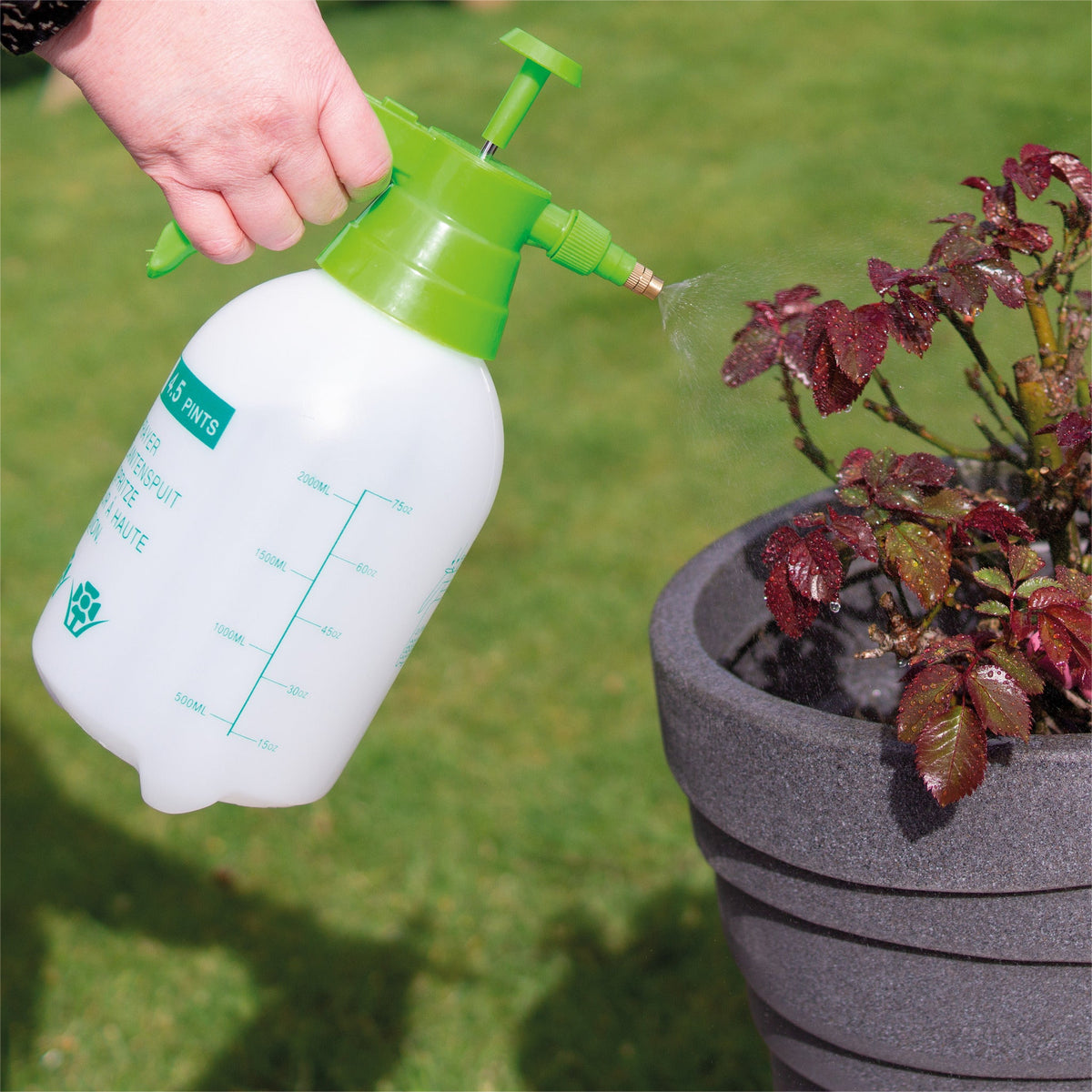 St Helens Home and Garden 2L Pump Action Pressure Sprayer_Weed Control