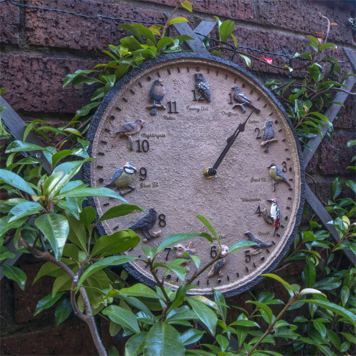 Wild Birds Outdoor Wall Clock - Indoor & Garden_Clocks