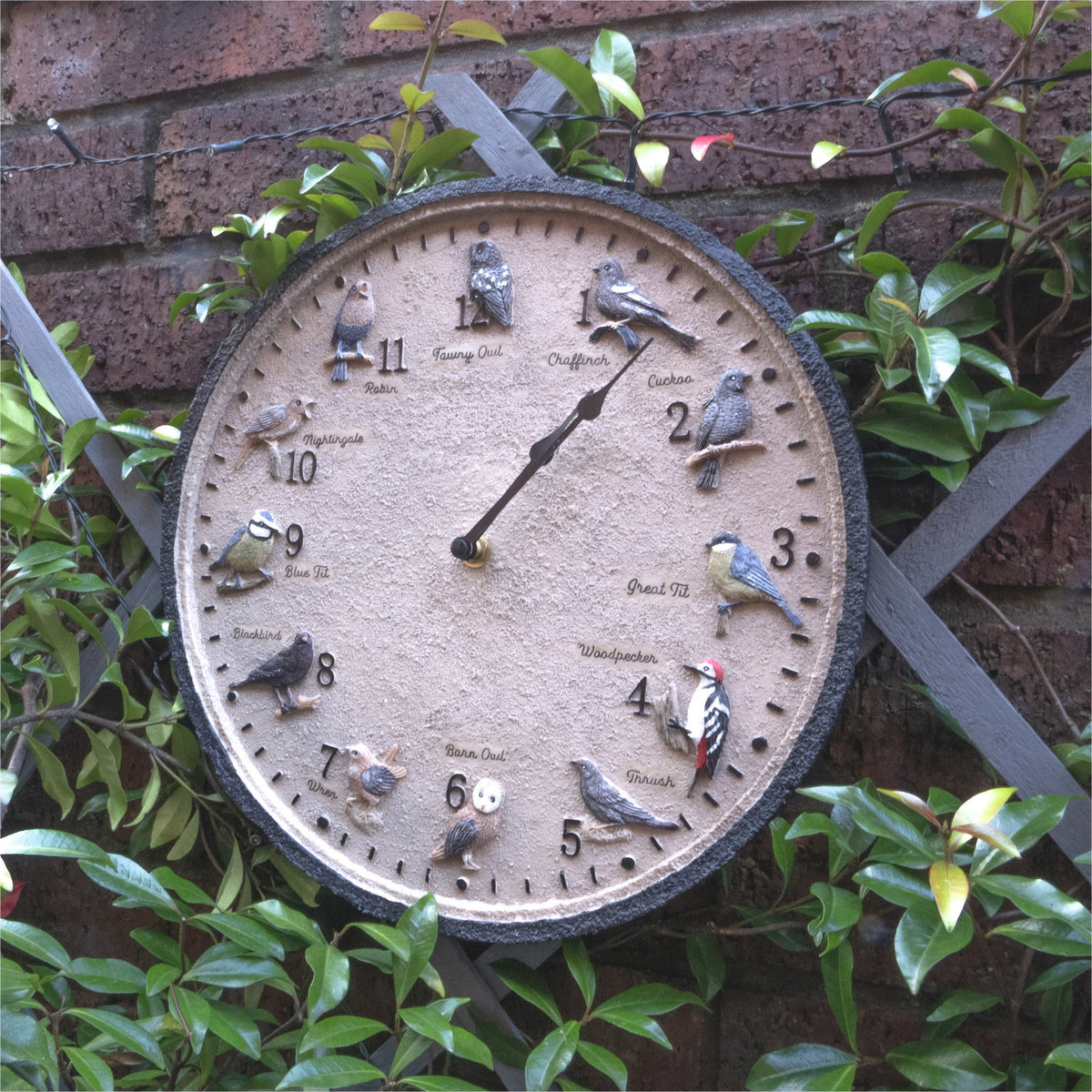 Wild Birds Outdoor Wall Clock - Indoor & Garden_Clocks