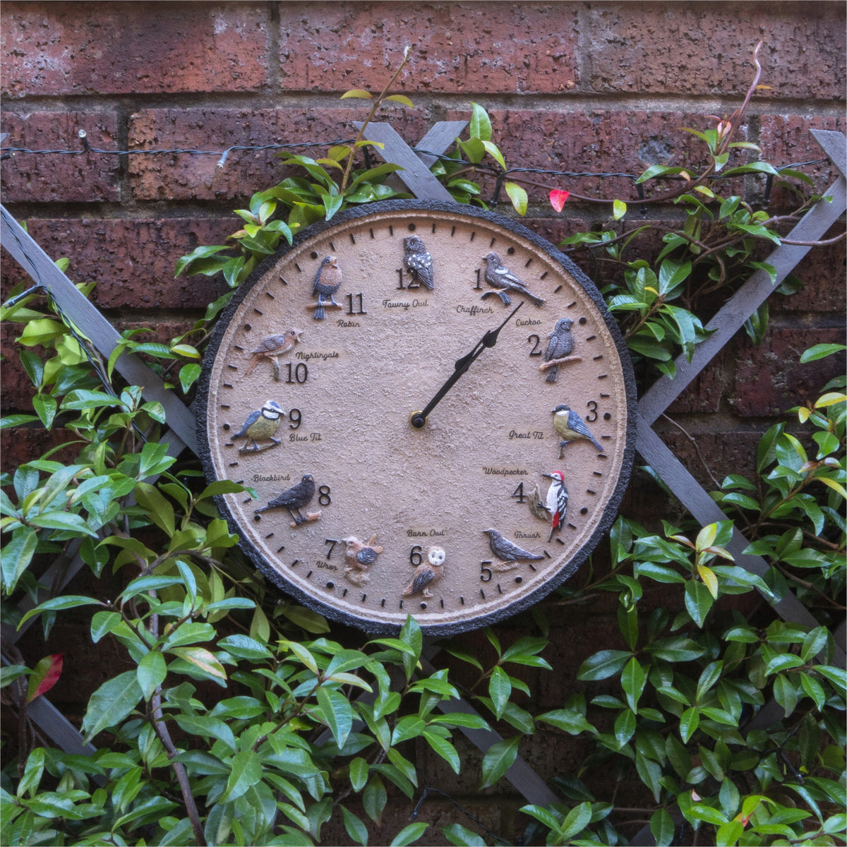 Wild Birds Outdoor Wall Clock - Indoor & Garden_Clocks