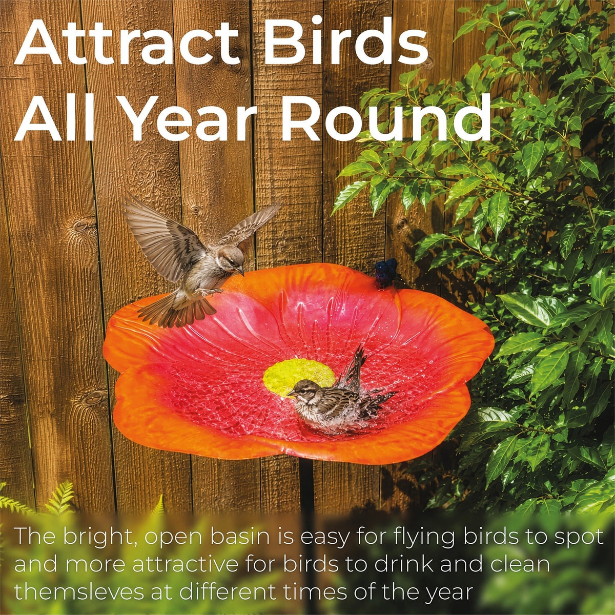 Red Flower Garden Bird Bath_Bird Baths