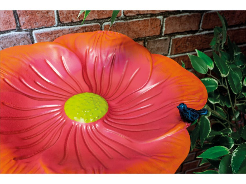 St Helens Red Flower Home and Garden Ornamental Free Standing, Weather Resistant, Easy Assemble Bird Bath and Feeder_Bird Baths