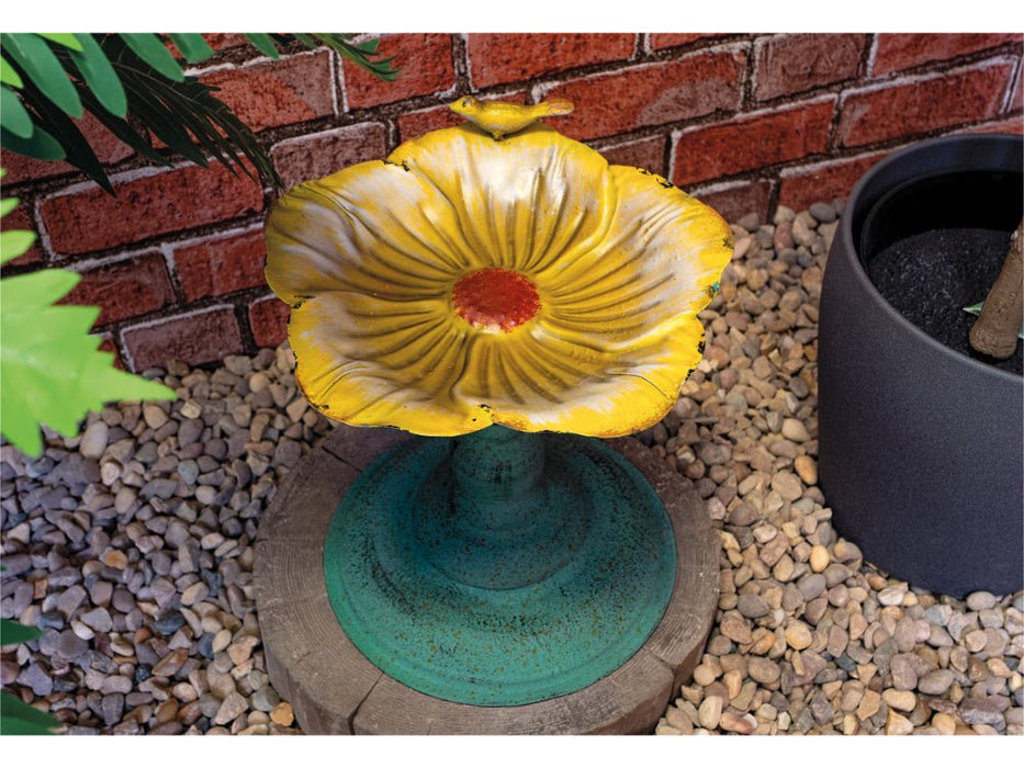 St Helens Yellow Flower Home and Garden Ornamental Free Standing, Weather Resistant, Pedestal Style, Easy Assemble Bird Bath_Bird Baths