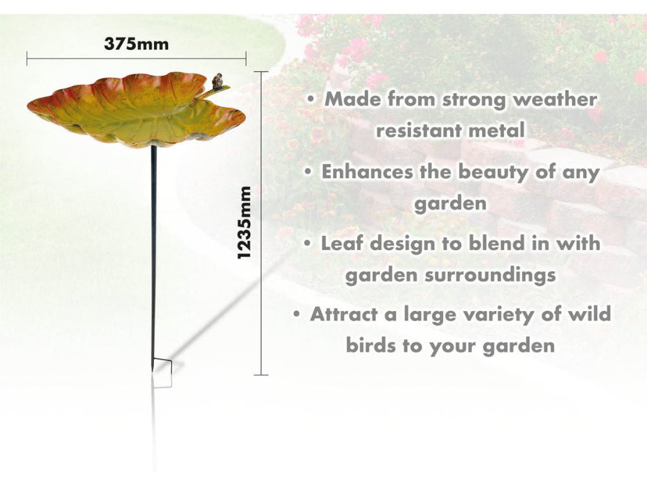 St Helens Leaf Home and Garden Ornamental Free Standing, Weather Resistant, Easy Assemble Bird Bath and Feeder_Bird Baths