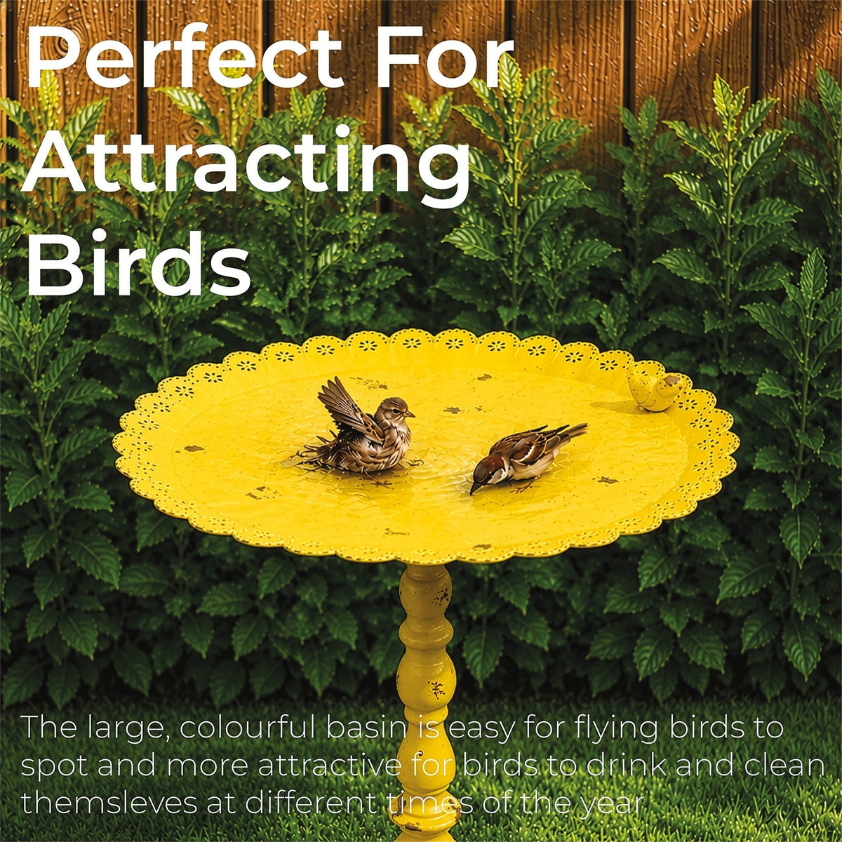 St Helens Yellow Home and Garden Ornamental Free Standing, Weather Resistant, Pedestal Style, Easy Assemble Bird Feeder_Bird Feeders