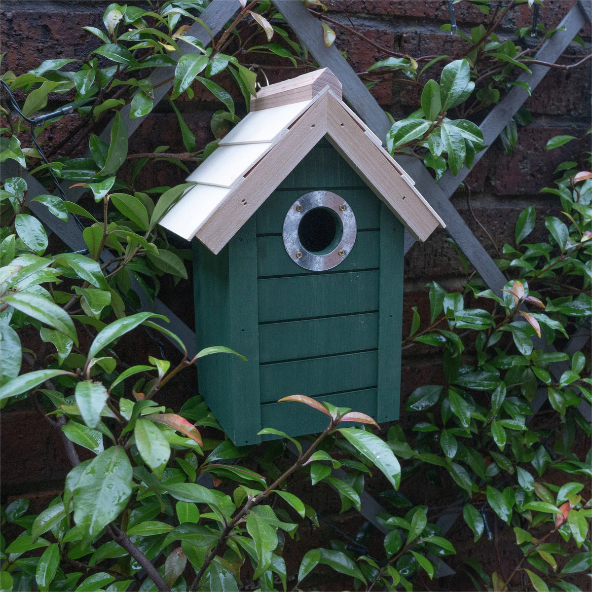 St Helens Home and Garden Bird House_Bird Boxes & Insect Houses