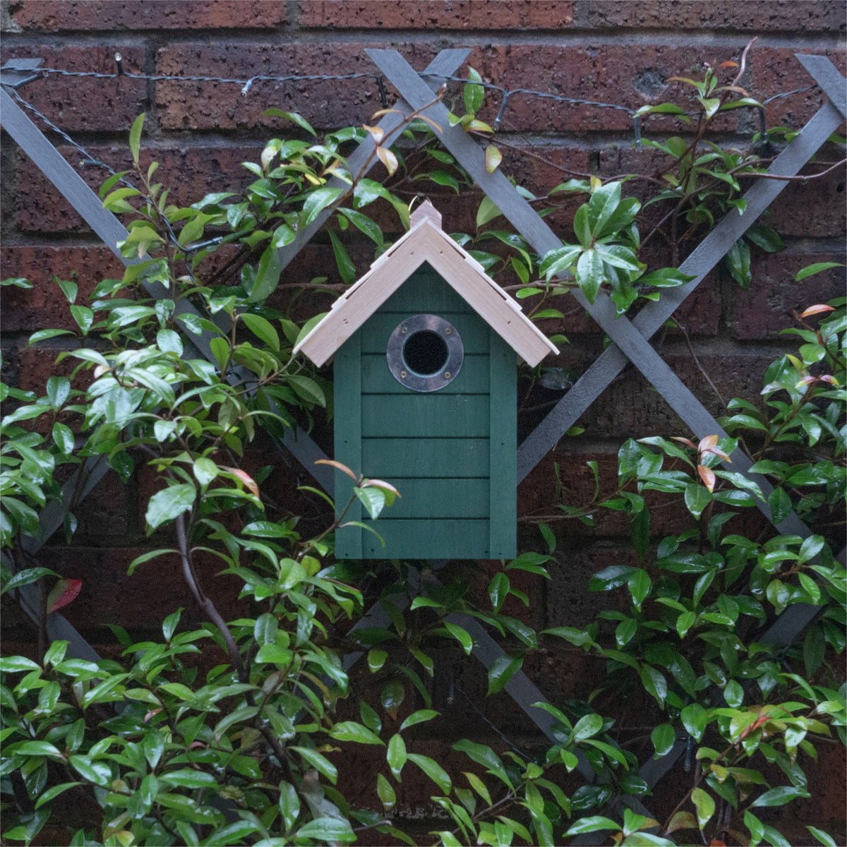 St Helens Home and Garden Bird House_Bird Boxes & Insect Houses