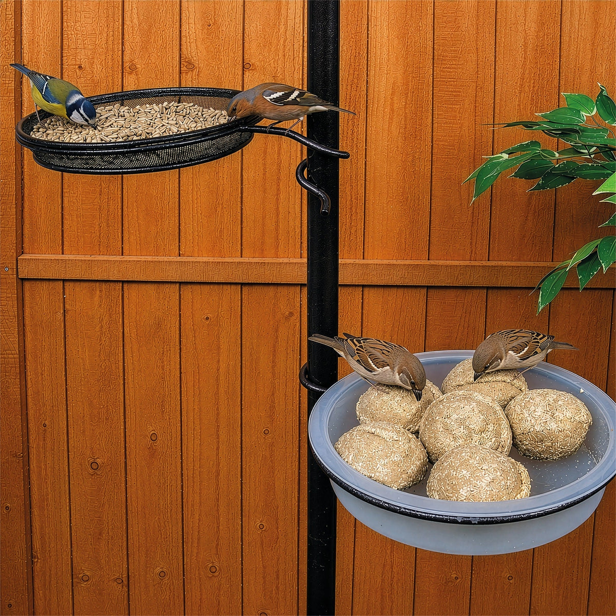 St Helens Bird Care Station With Feeder and Bath_Bird Feeders
