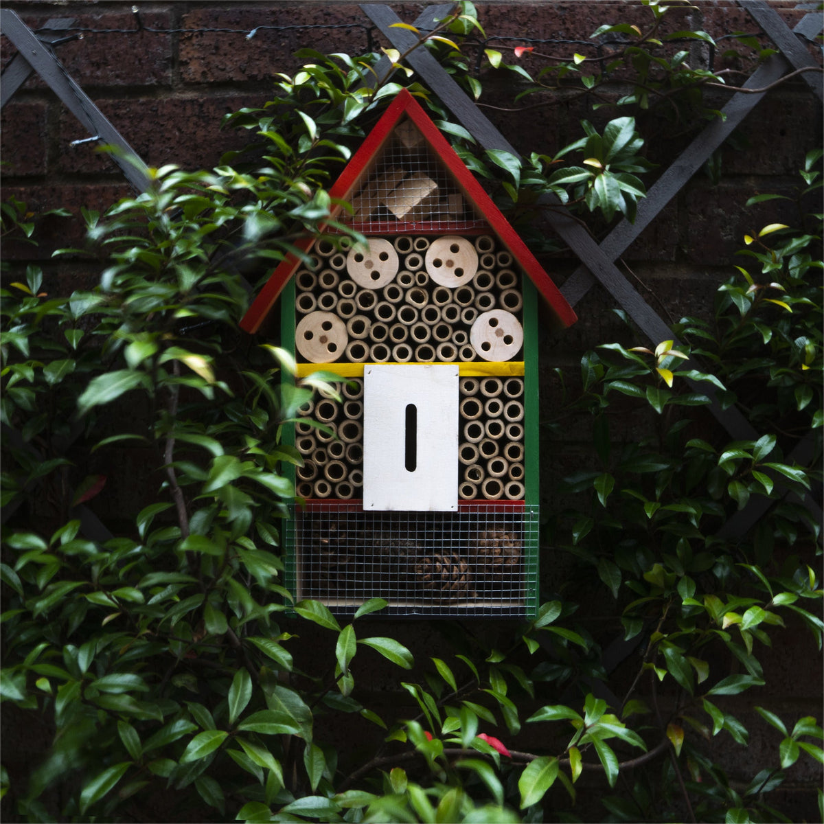Wooden Bug and Bee Hotel_Bird Boxes & Insect Houses