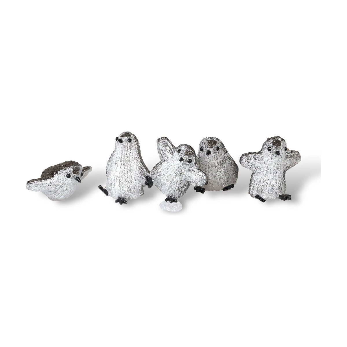 Xmas Haus Set of 5 Acrylic LED Penguins – 8 LEDs Each, Battery Operated with Timer, Indoor & Outdoor Festive Decoration_Christmas Lights
