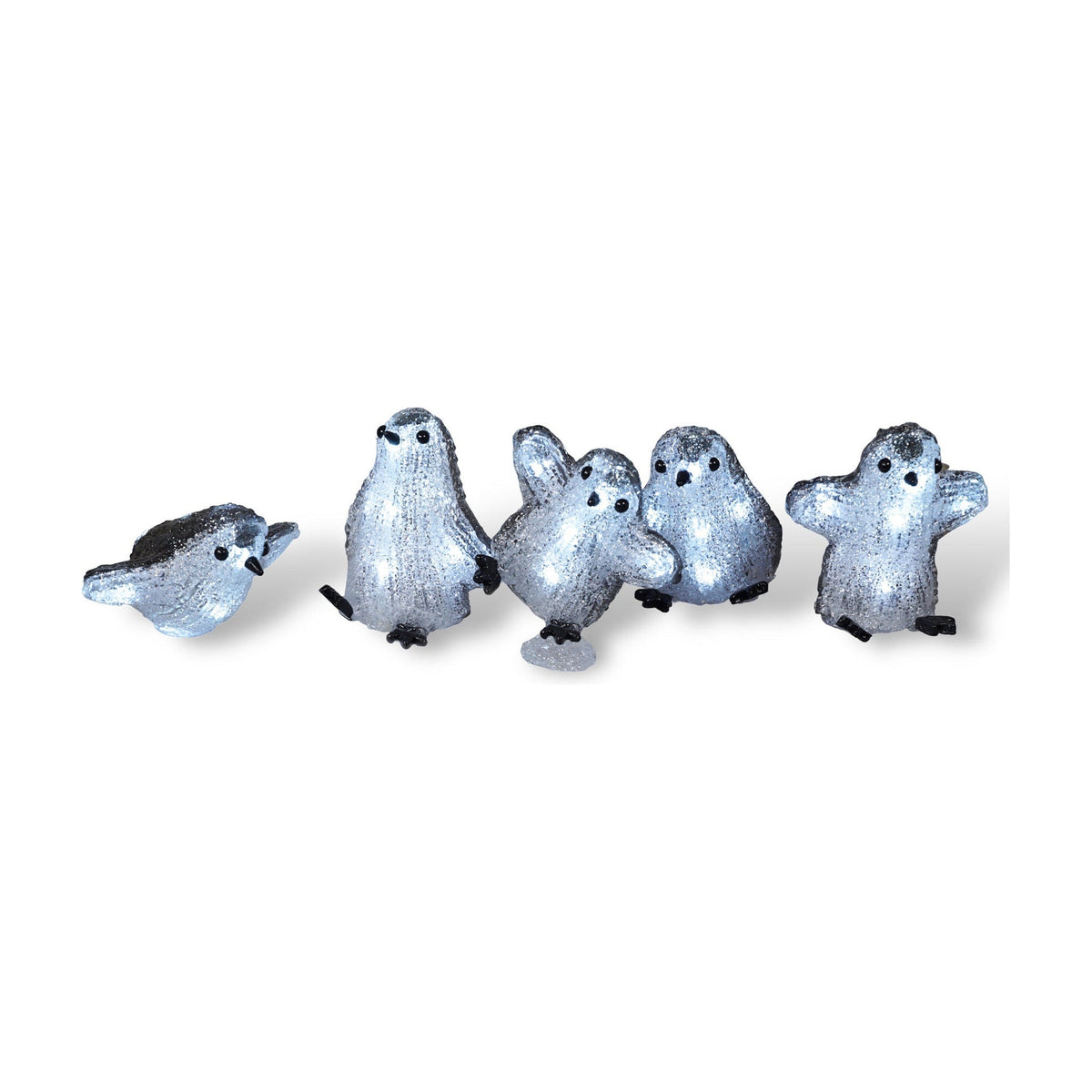 Xmas Haus Set of 5 Acrylic LED Penguins – 8 LEDs Each, Battery Operated with Timer, Indoor & Outdoor Festive Decoration_Christmas Lights