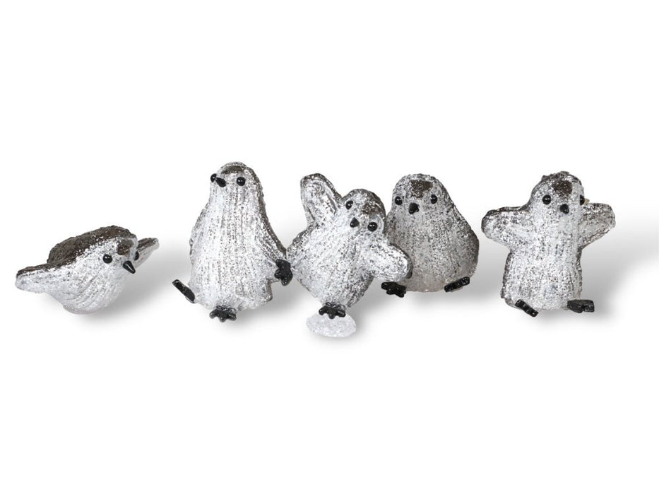 Xmas Haus Set of 5 Acrylic Outdoor/Indoor Penguins Battery Operated With 8 Led's Per Unit and On/off Timer_Christmas Lights
