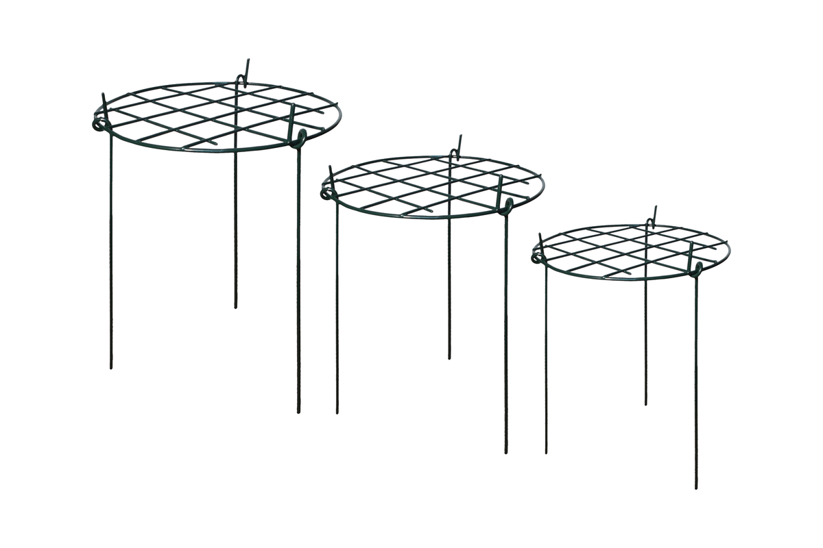 Grow Through Starter Kit - Garden Pride_Cages & Grow Throughs Plant Supports