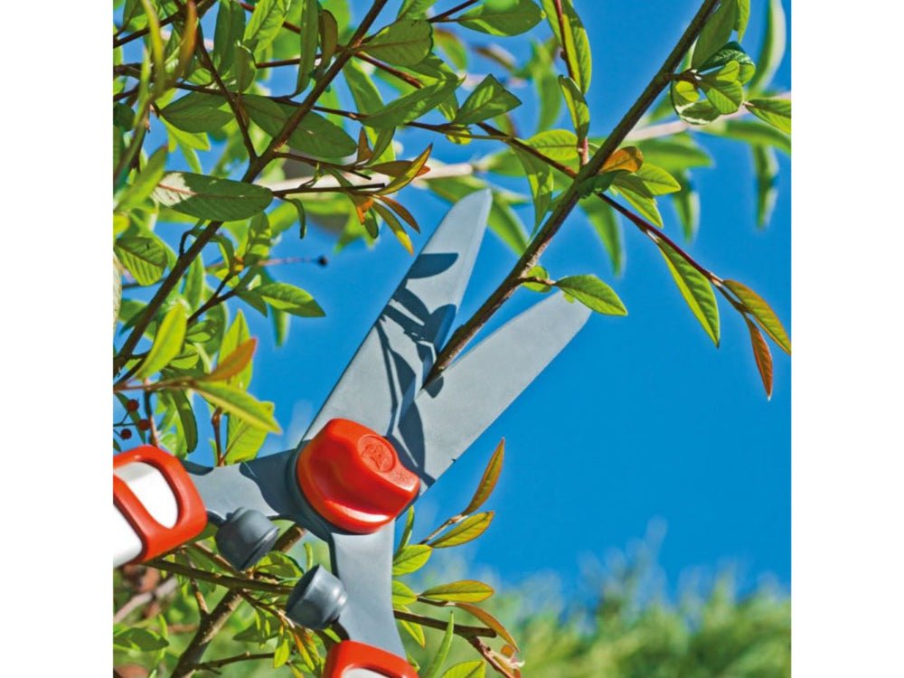 Telescopic Hedge Shear_Shears