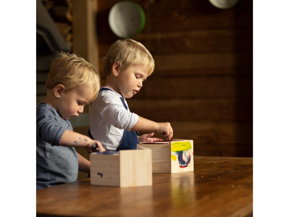 Garden Game - Paint Your Own Nesting Box DIY Kit_Garden Games