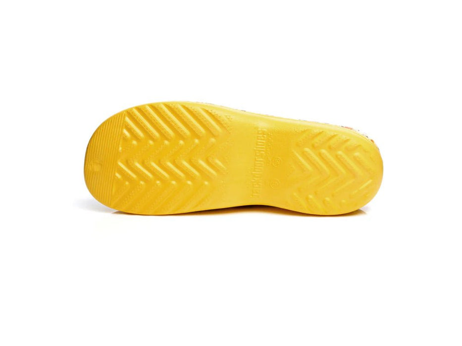 Lemon Daisy Classic Women's Clogs_Womens Slip On Clogs