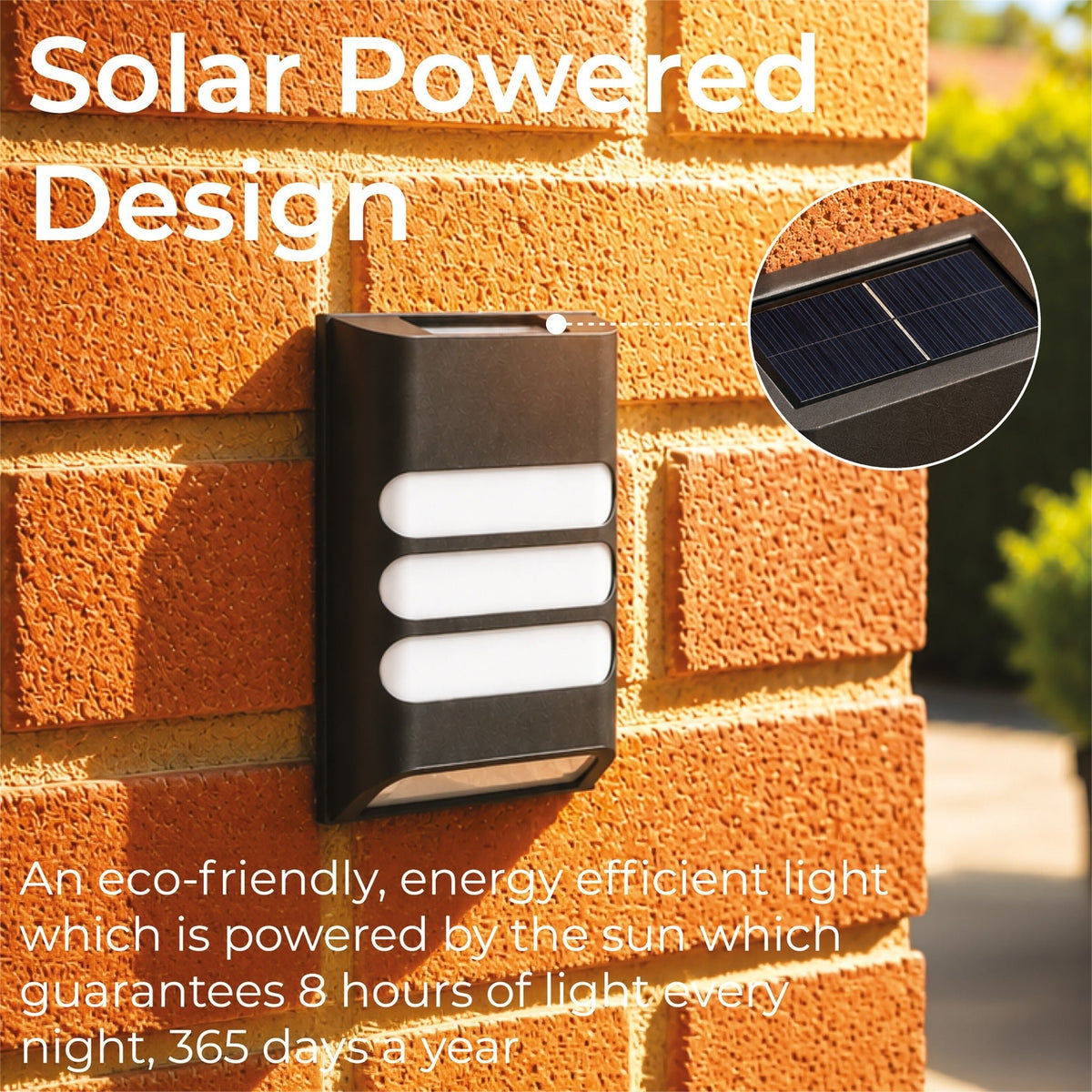 Rana Intelligent Solar LED Wall Light_Pond Lighting