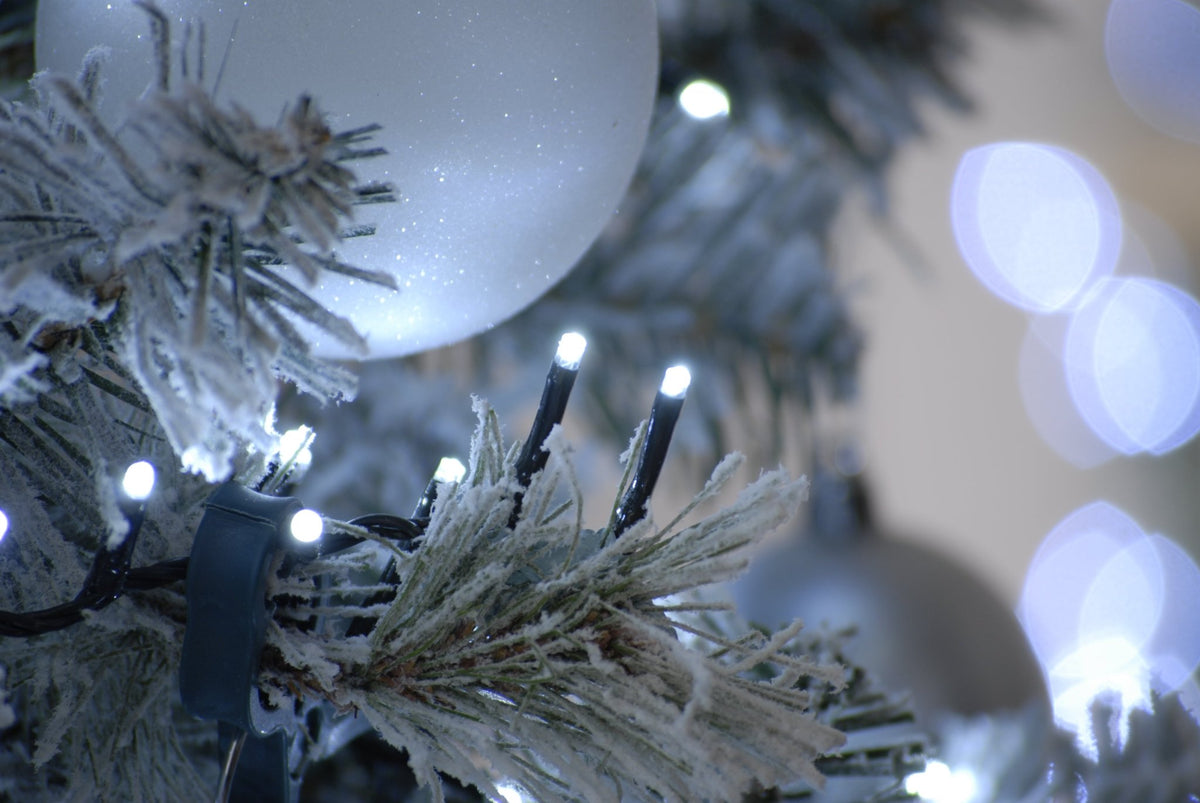 Sparkle lights - White_Christmas Lights