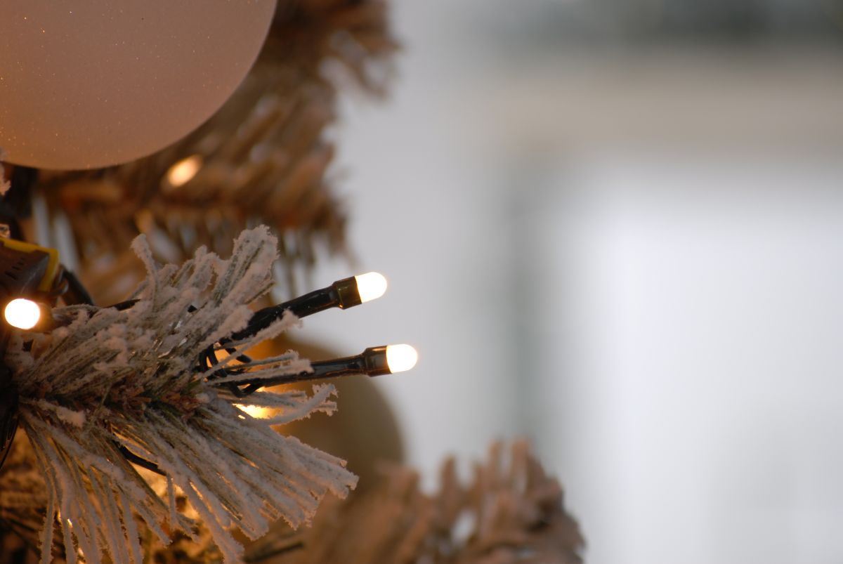 Glow - worm lights - Warm White_Christmas Lights