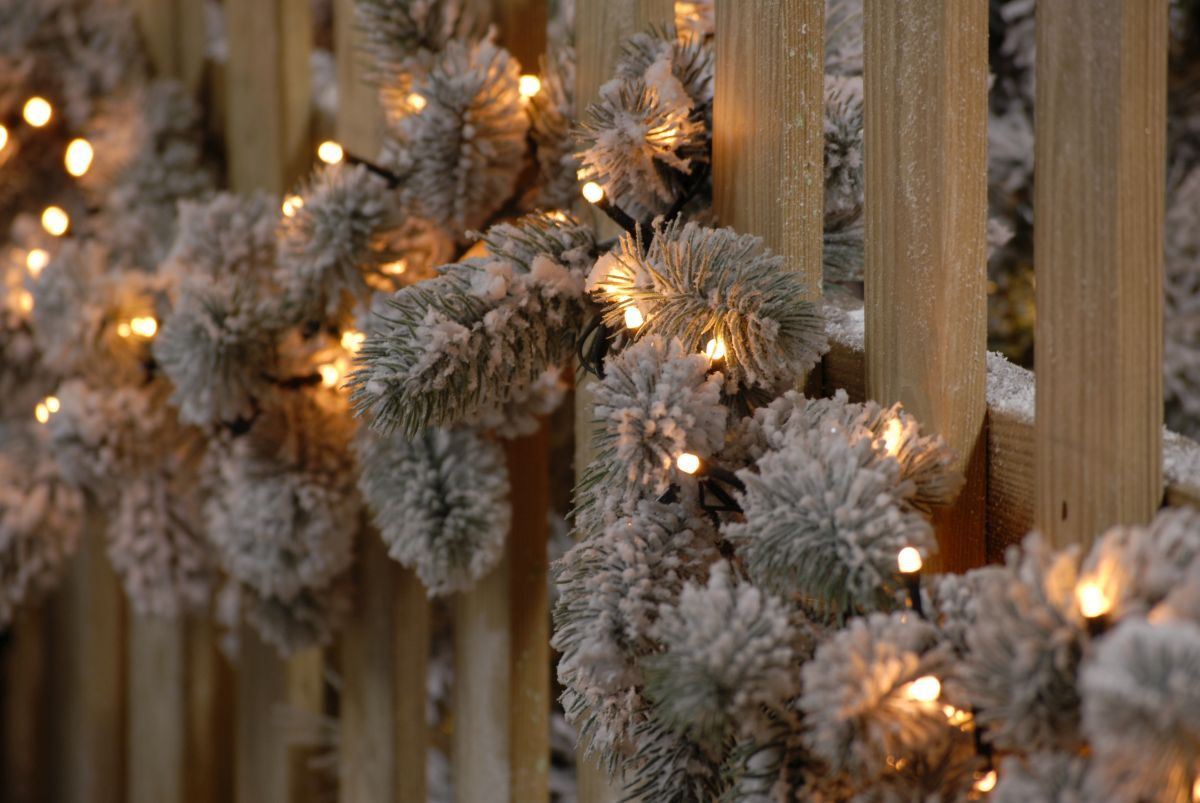Glow - worm lights - Warm White_Christmas Lights
