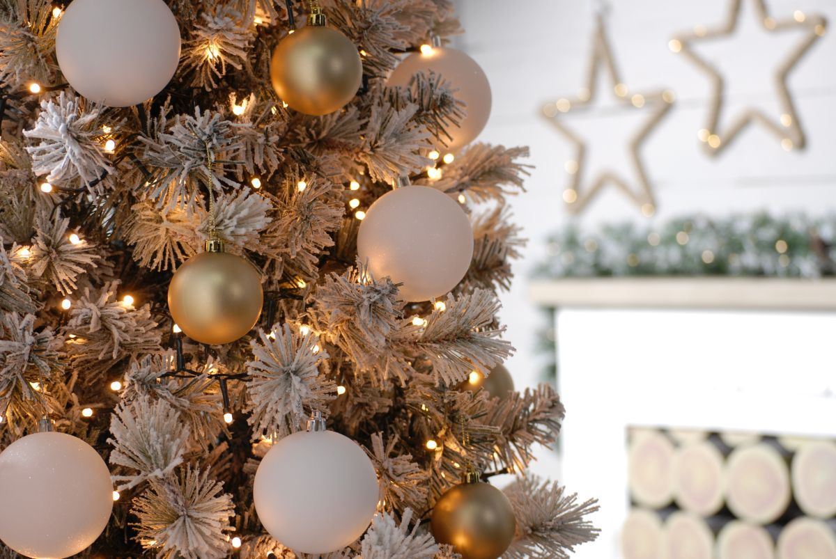 Glow - worm lights - Warm White_Christmas Lights