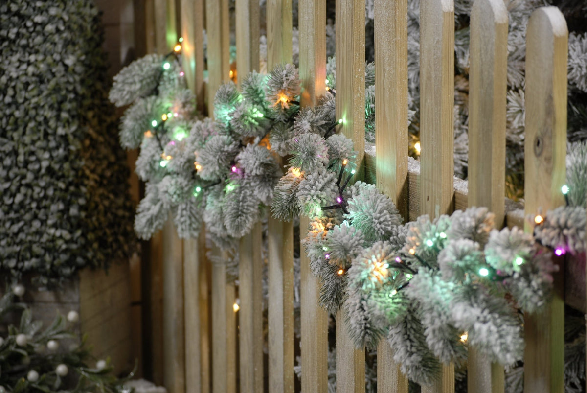 Sparkle Lights - Aurora_Christmas Lights