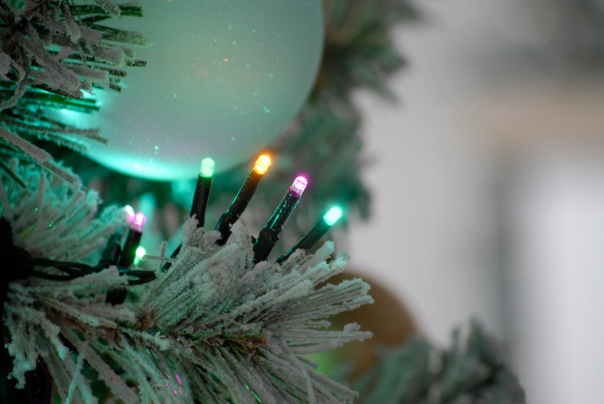 Sparkle Lights - Aurora_Christmas Lights