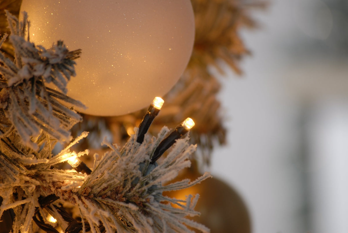 Firefly lights - Warm White_Christmas Lights