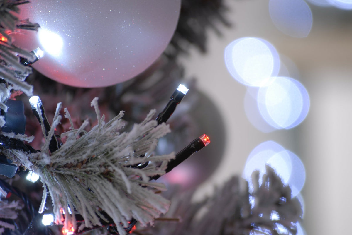 Firefly Lights - Carnival (Red & White)_Christmas Lights