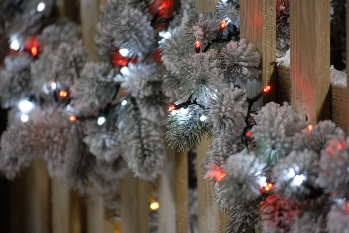 Firefly Lights - Carnival (Red & White)_Christmas Lights