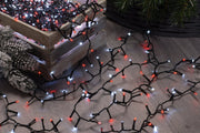 Firefly Lights - Carnival (Red & White)_Christmas Lights