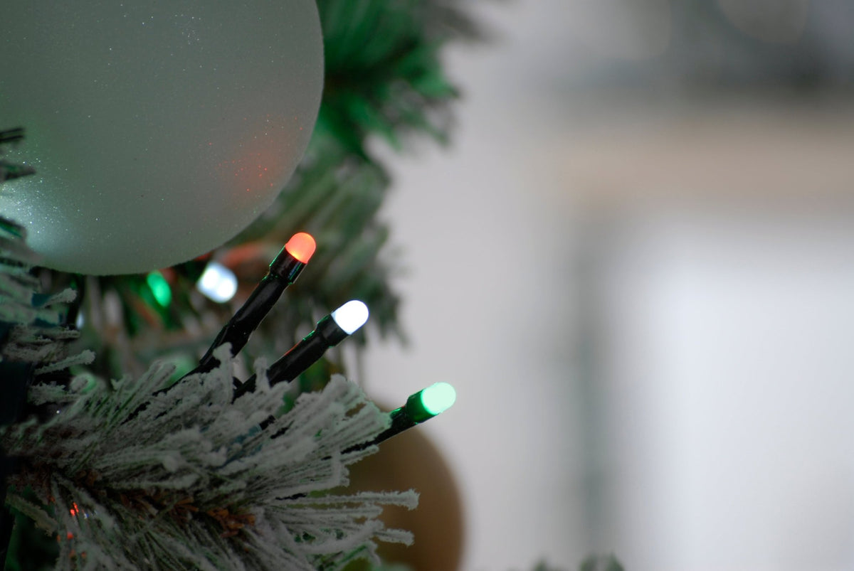 Glow - worm lights - Jolly holly (Green & Red)_Christmas Lights