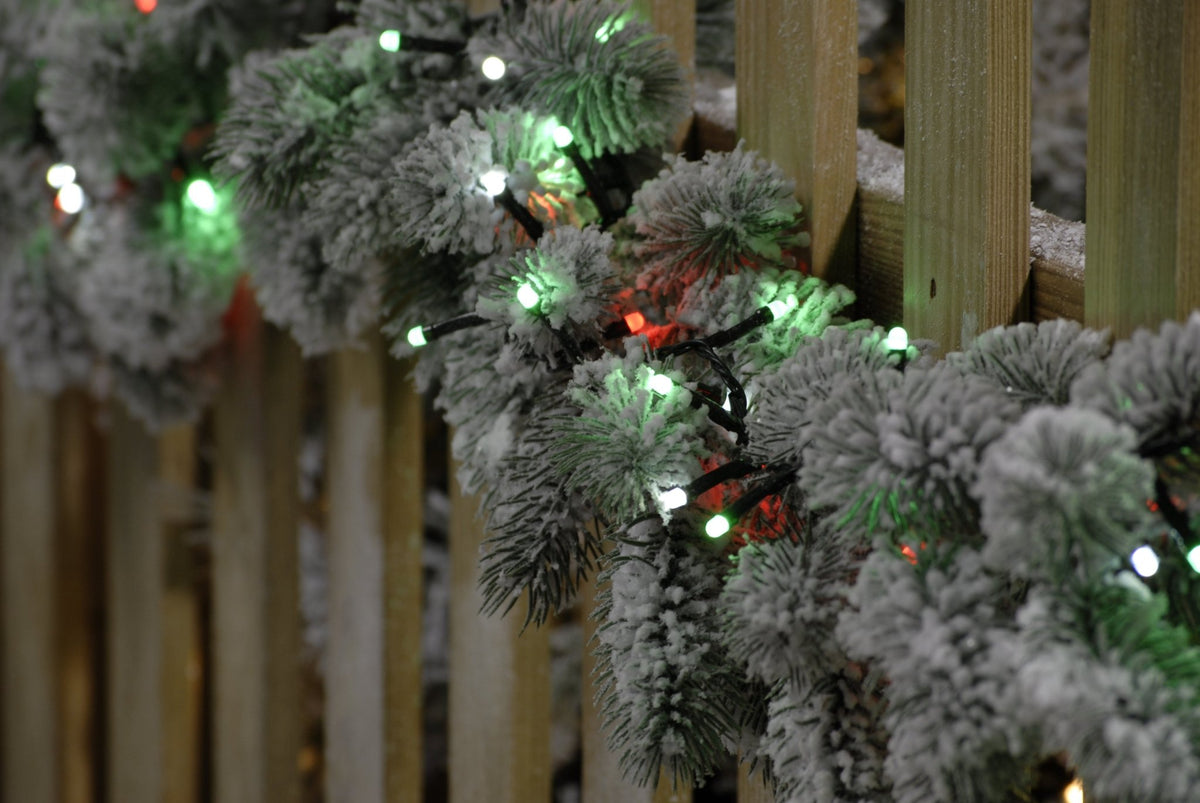 Glow - worm lights - Jolly holly (Green & Red)_Christmas Lights