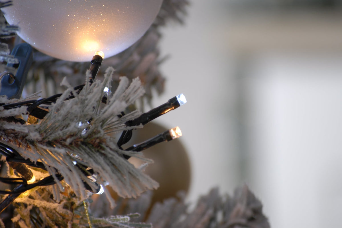 Firefly Lights - White & Warm White_Christmas Lights
