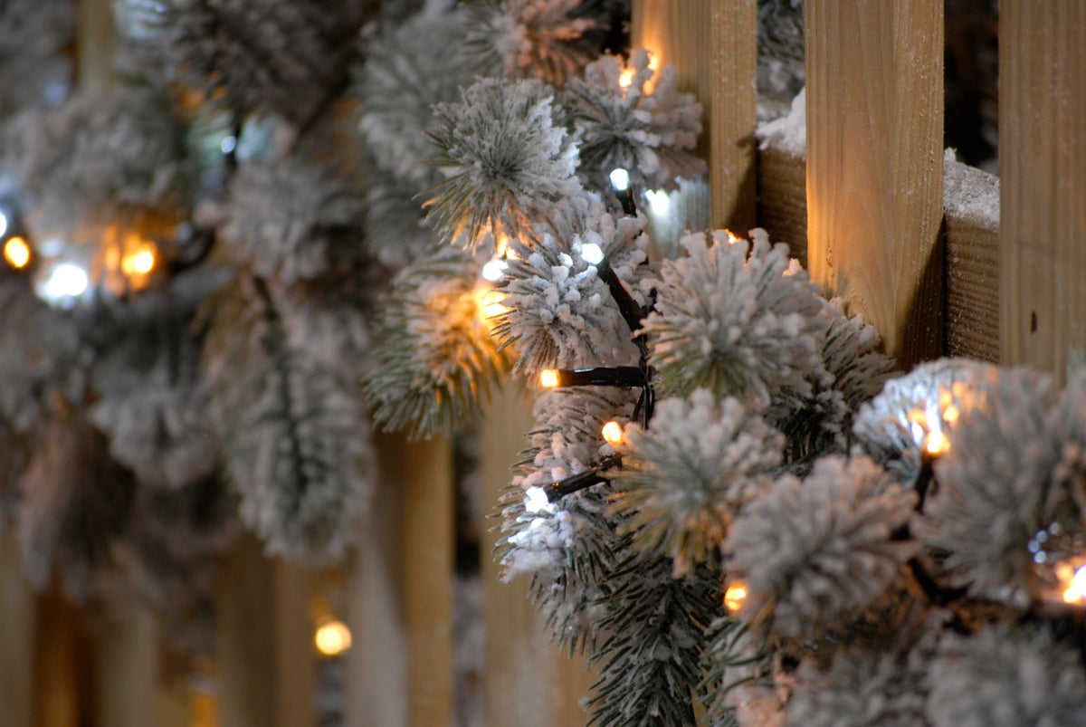 Firefly Lights - White & Warm White_Christmas Lights