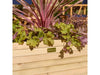 Premier Patio Trough Planter 1.2m_Planters