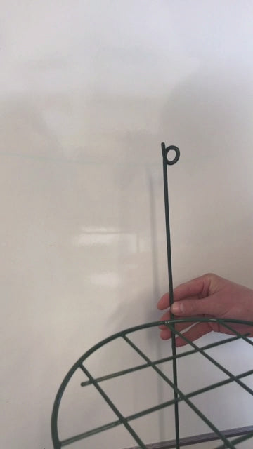 Load video: Grow Through Plant Supports - Round - Green - 3 Pk