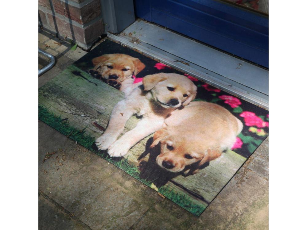 Printed Doormat - The Puppies in the Garden_Doormats