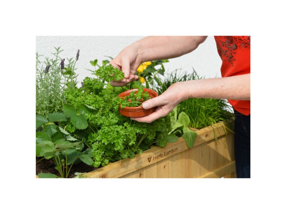 Herb Garden (FSC 100%)_VegTrug