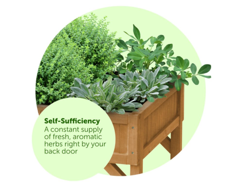 Herb Garden (FSC 100%)_VegTrug