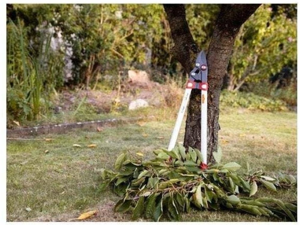 Comfort Power Cut Bypass Loppers - 75cm Long_Loppers