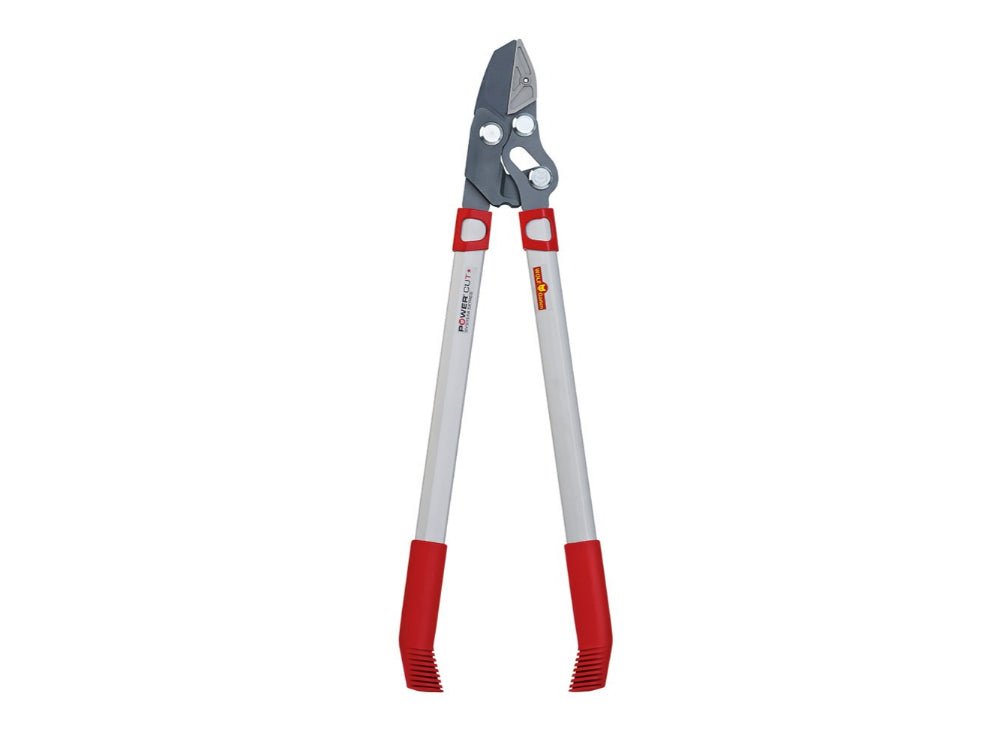 Power Cut Anvil Loppers_Loppers