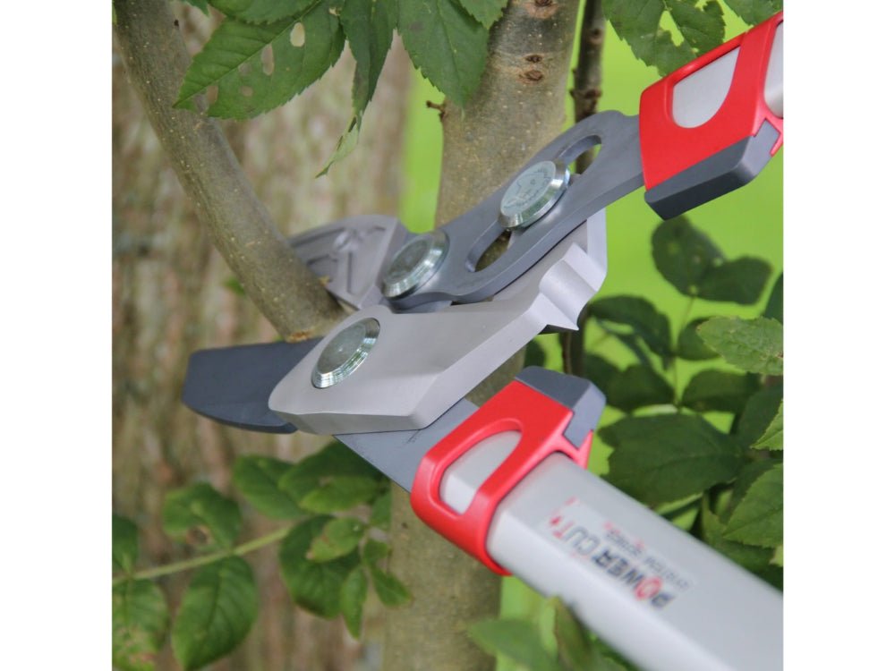Power Cut Anvil Loppers_Loppers